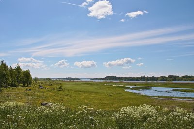 Norsa - bird site by lake Mlaren