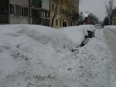 54.jpg