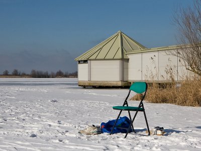 OVP; Oostvaardersplassen