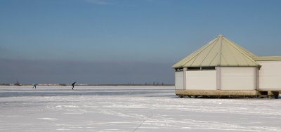 OVP; Oostvaardersplassen