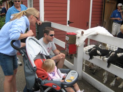 Angie/Matt feeding goats