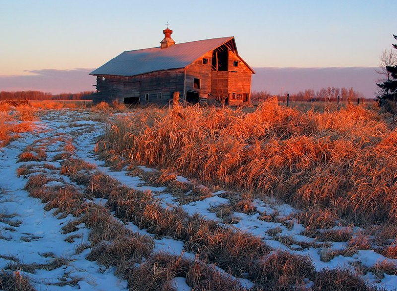 Barn.jpg