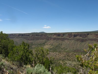 IMG_1462.jpg