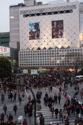 P1000913-12.jpg