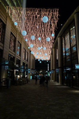 P1000934-28.jpg