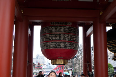 P1000967-49.jpg