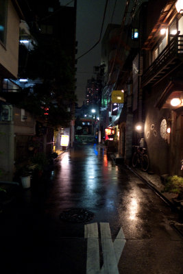 P1000983-64.jpg