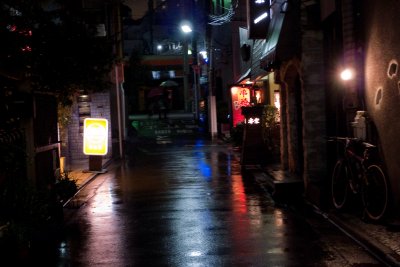 P1000984-65.jpg