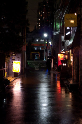 P1000985-66.jpg