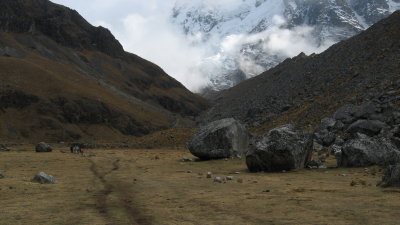 Salkantay Hike - Andes
