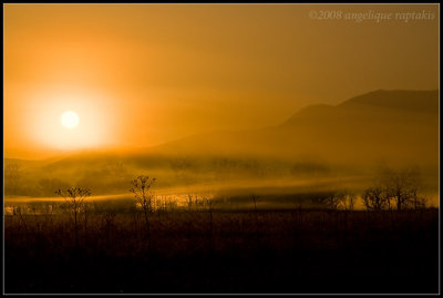 _ADR0031 sunrise cades cove rcwf.jpg