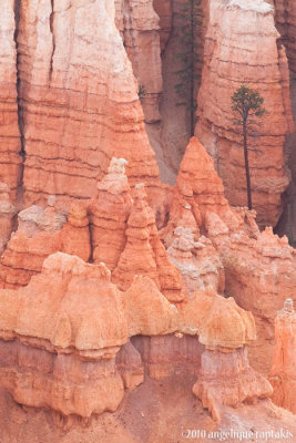 _MG_3423 hoodoos w.jpg