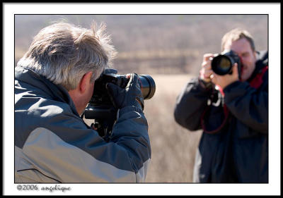 CRW_1715 shootout wf.jpg
