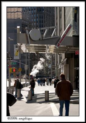 CRW_1916 jazz wf.jpg
