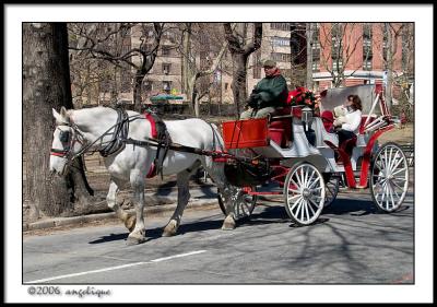 CRW_1946 carriage wf.jpg