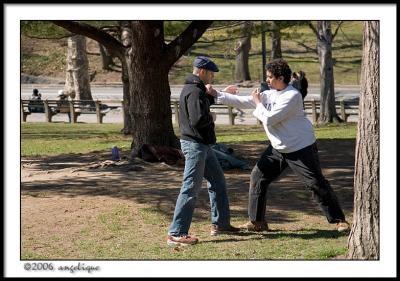 CRW_1978 martial arts wf.jpg