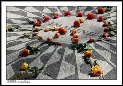 CRW_1996 imagine wf.jpg