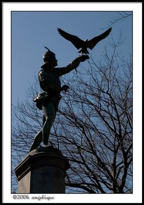 CRW_2023 falconer wf.jpg