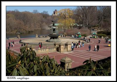 CRW_2037 park c wf.jpg