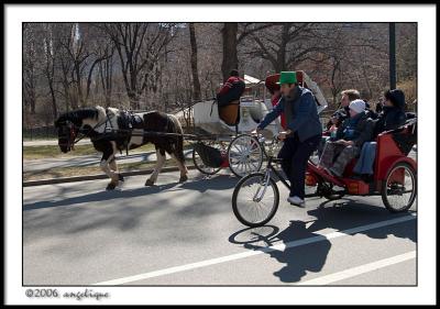 CRW_2097 carriages wf.jpg