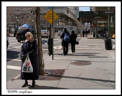 CRW_2145 blind ny wf.jpg