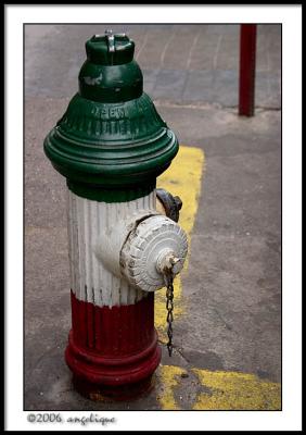 CRW_2313 hydrant wf.jpg