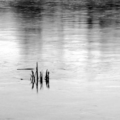 g3/25/147025/3/54556167.IMG_3832copy.jpg