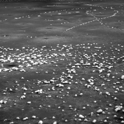 g3/25/147025/3/54556172.IMG_6277copy.jpg