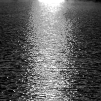 g3/25/147025/3/54557333.IMG_3808copy.jpg