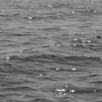 g3/25/147025/3/54557340.wieden001copy.jpg