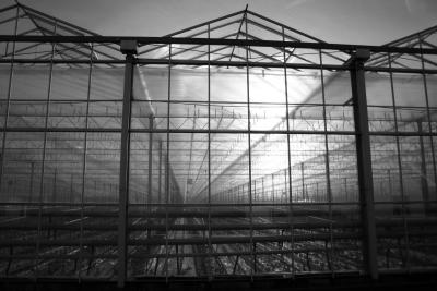 And an ordinairy greenhouse.