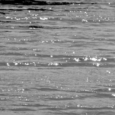 g3/25/147025/3/58915621.IMG_7590.jpg