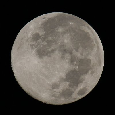 FullMoon8389o.jpg