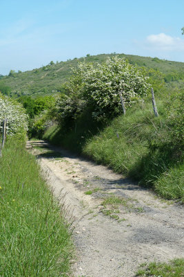 Auzat-sur-Allier