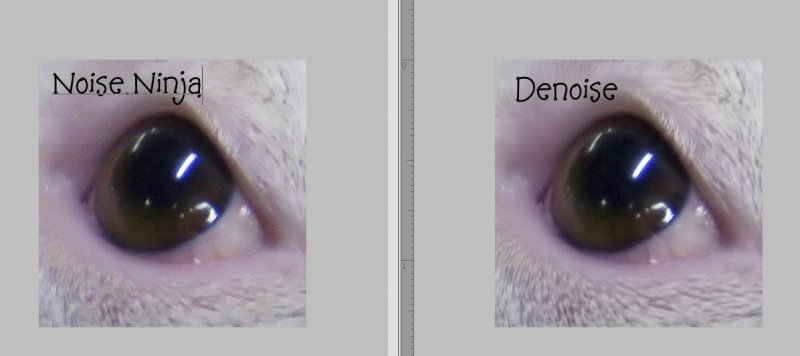 NN-Denoise Compared