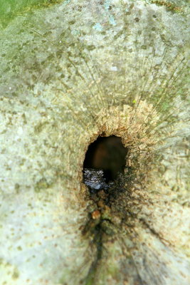 Round...With A Surprise!