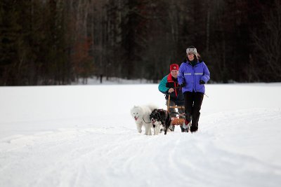 Skijoring and sledding