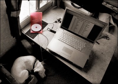 Compact Disk, Dog, & Dining