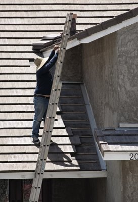 Ladder