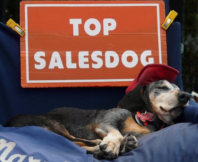 Top Salesdog