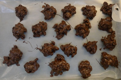 Chocolate Covered Raisins
