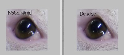 NN-Denoise Compared