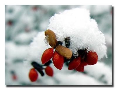 First Snow '05