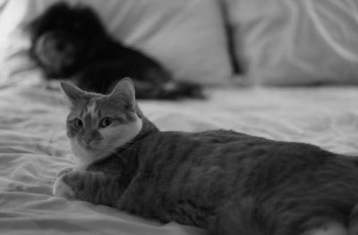 IMG_8862WantHisSpot