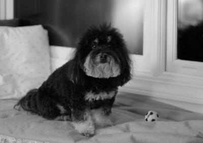 IMG_8870SomethingAboutBW