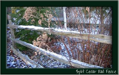 Split Cedar Rail