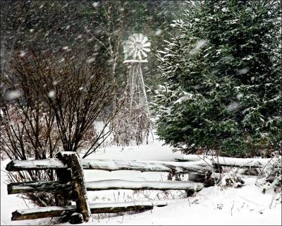 Windmill O'er Fence