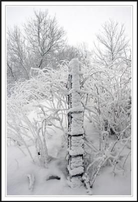 fence post
