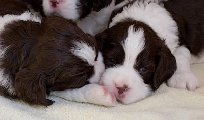 Such precious babies!