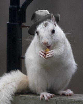 Jimmy Durante with Hat